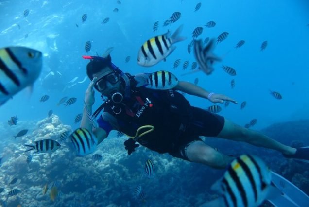 Intro Diving Experience