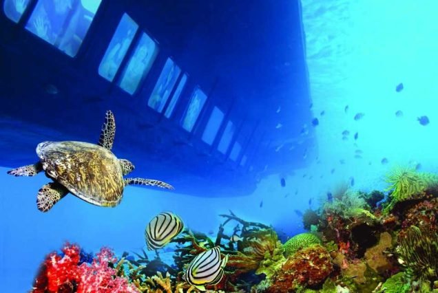 Red Sea Snorkeling Cruise